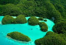 Discover Paradise: A Complete Travel Guide to Palau